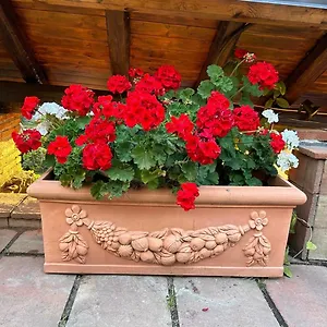 Villa Del Sole Valverde (Sicily)